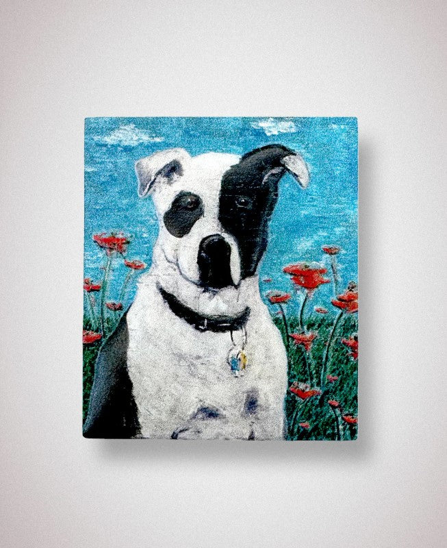Mooh | Magnets | A Bunch Of Stuff By Johnny Depp